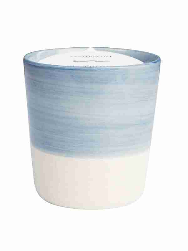 BS22504 Blueberry GIMPs